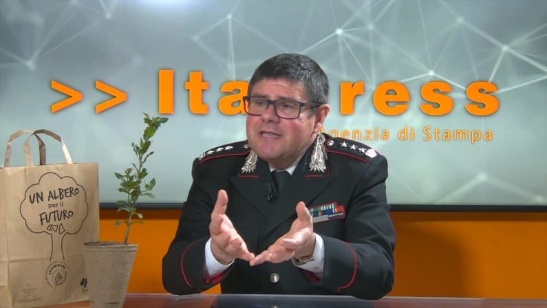 Dall’Albero Falcone nascono le piantine della legalità