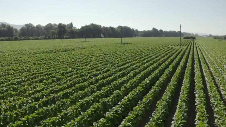 Il rilancio dell’Italia passa dalle filiere integrate