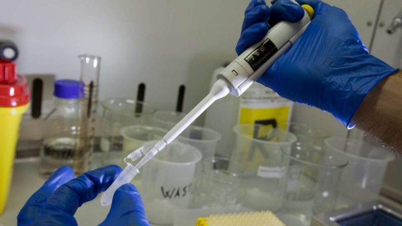 Unicatt presenta report “Il valore delle sperimentazioni cliniche”