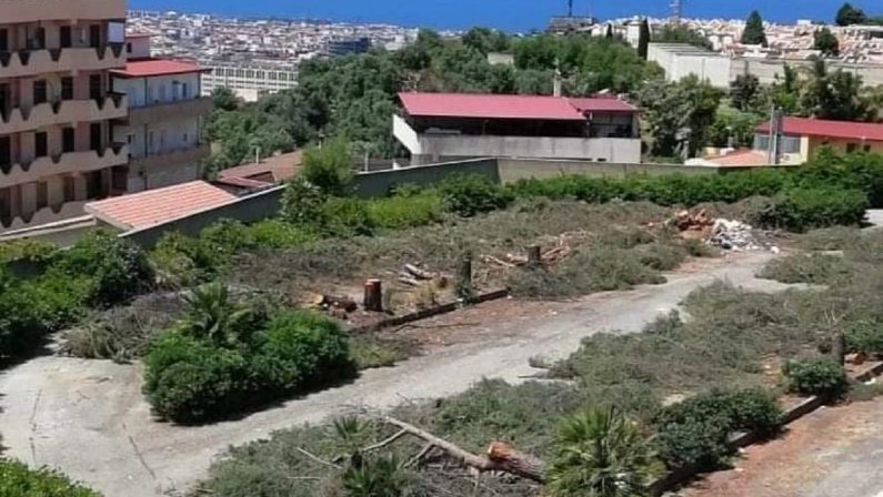 Legambiente: «Trenta alberi abbattuti, sospendere i lavori al parcheggio del cimitero»