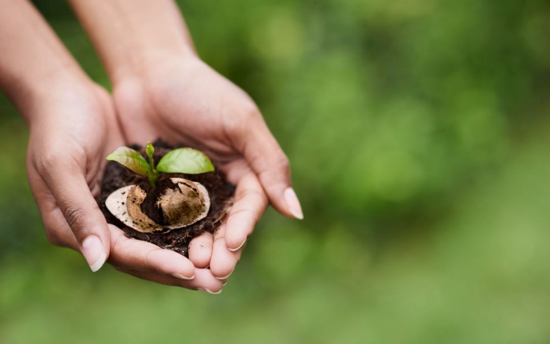 Il caffè espresso napoletano amico dell’ambiente