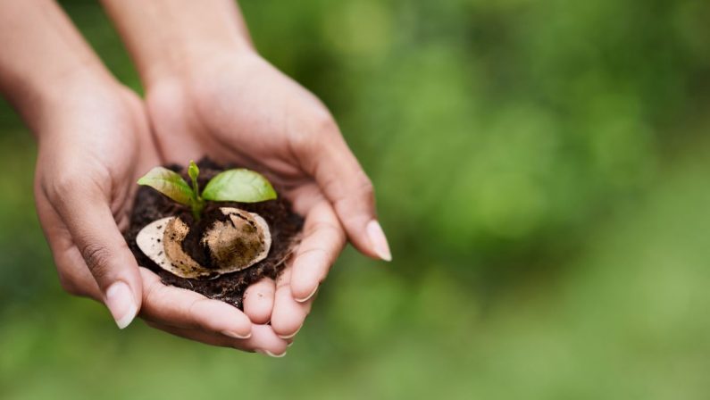Il caffè espresso napoletano amico dell’ambiente