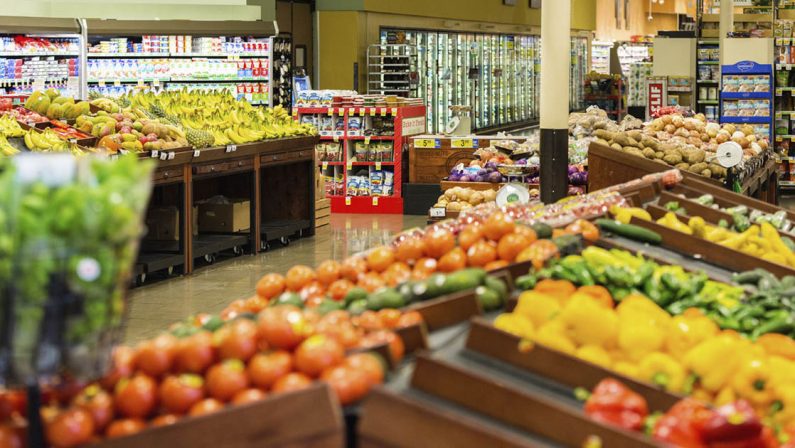 Ferrovie, porti, autostrade: il gap infrastrutture penalizza duramente l’agroalimentare italiano