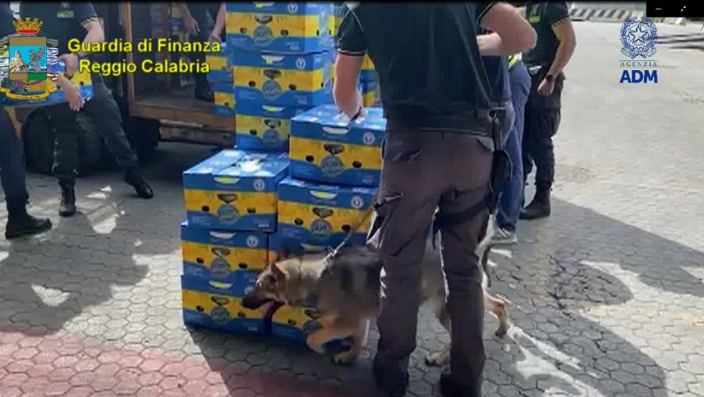 Banane e cocaina, scoperta oltre una tonnellata al porto di Gioia Tauro
