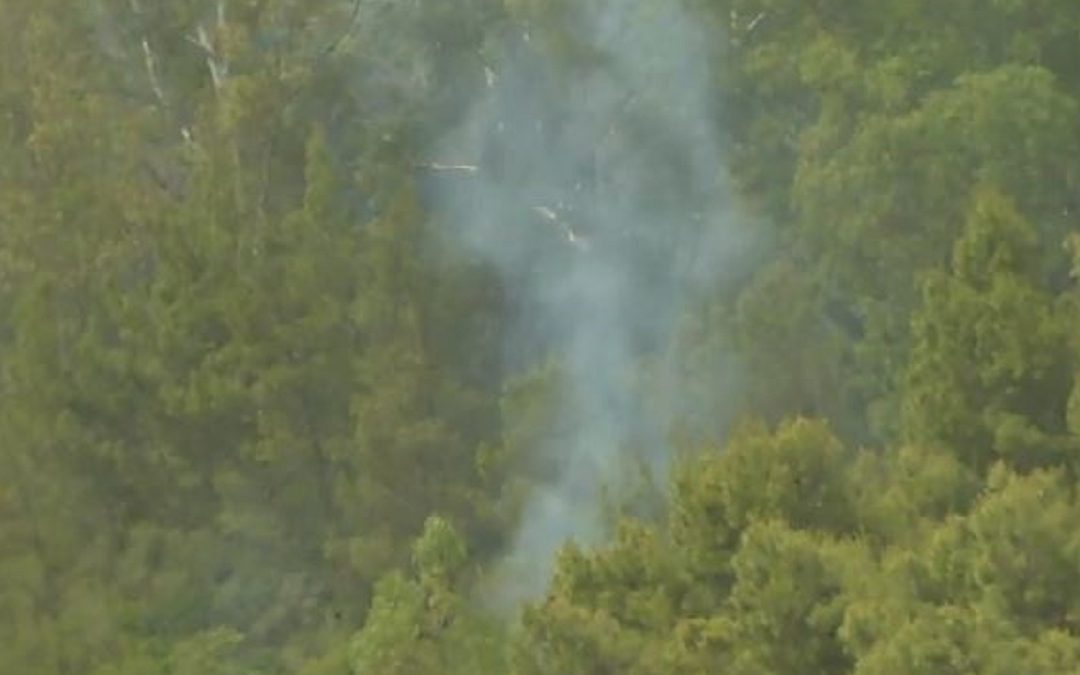 Vasto incendio in un bosco di Irsina, difficili le operazioni di spegnimento