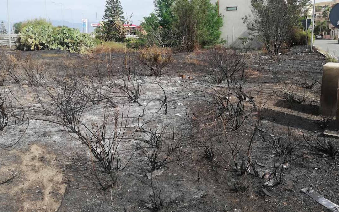 Un incendio avvenuto nei giorni scorsi nel Catanzarese
