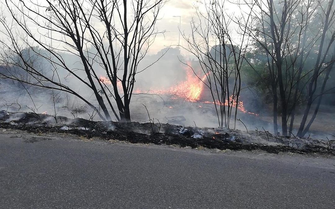 L'incendio divampato a Motta San Giovanni