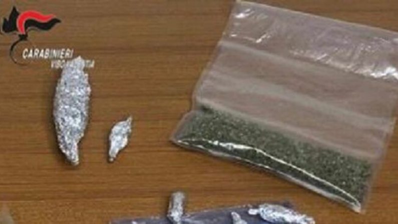 Marijuana nascosta tra i limoni, 36enne arrestato nel Vibonese