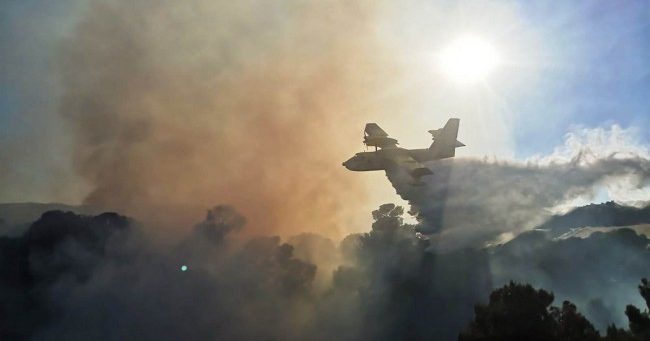 Vasto incendio nell'Alto Jonio cosentino, canadair e vigili del fuoco in azione ad Amendolara