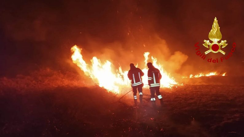 Incendi in Salento, una pineta brucia da 24 ore