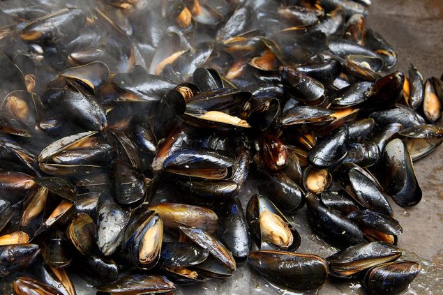 Cozze dalla Grecia a Taranto, rischi per i mercati di Calabria, Campania e Puglia