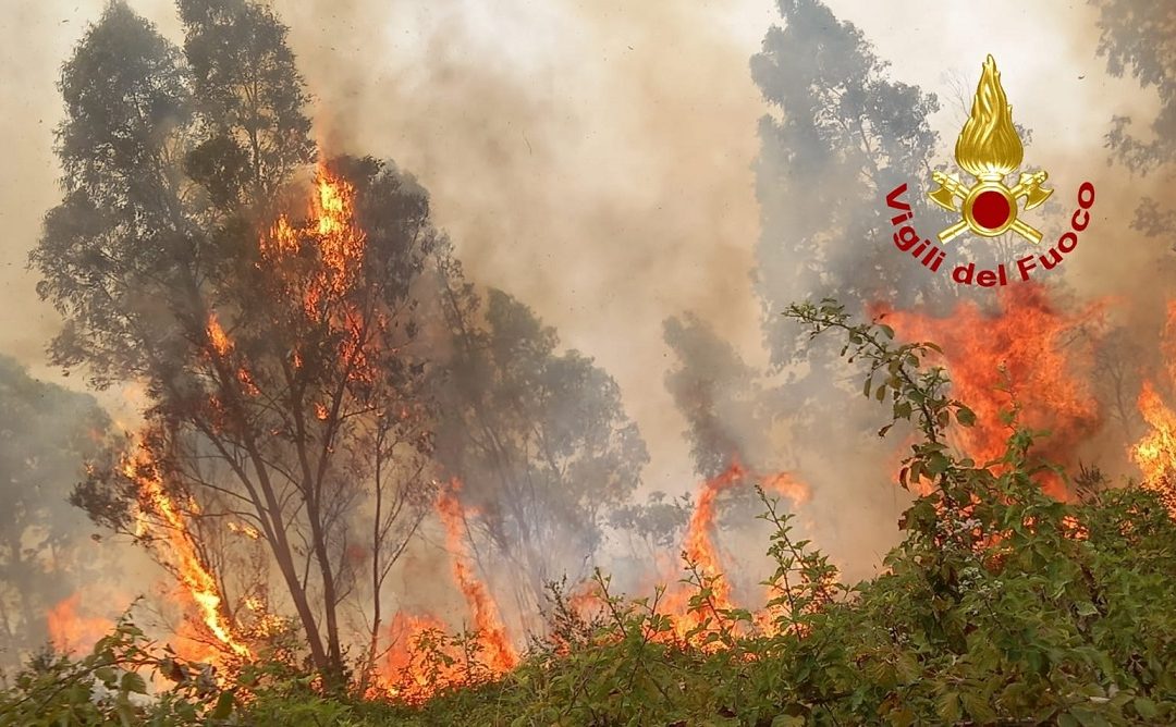L'incendio nelle campagne di Gizzeria