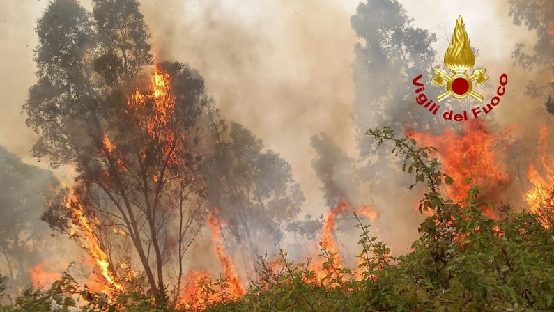 Vasto incendio nel Lametino, minacciata case e disagi sulla statale 18