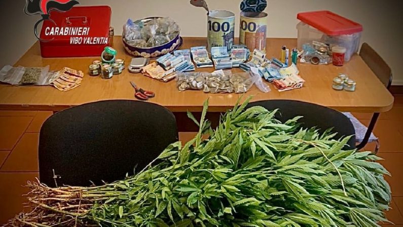 Marijuana e contanti nascosti in campagna, un arresto nel Vibonese