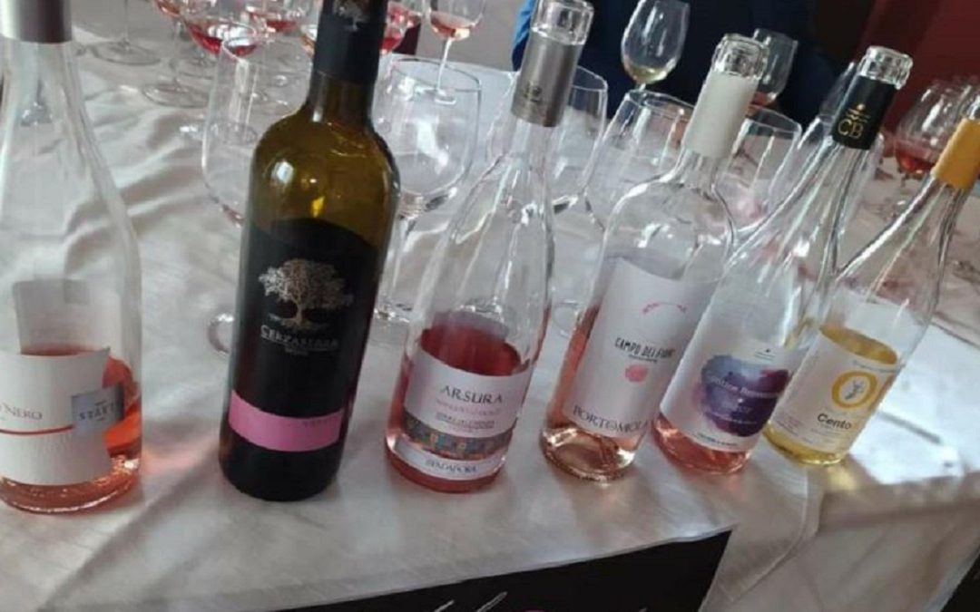 Vino, il Greco Nero di Statti miglior rosato del Tirreno