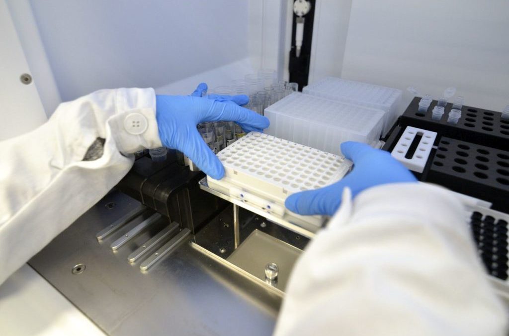 Armare il sistema immunitario per combattere i tumori del sangue