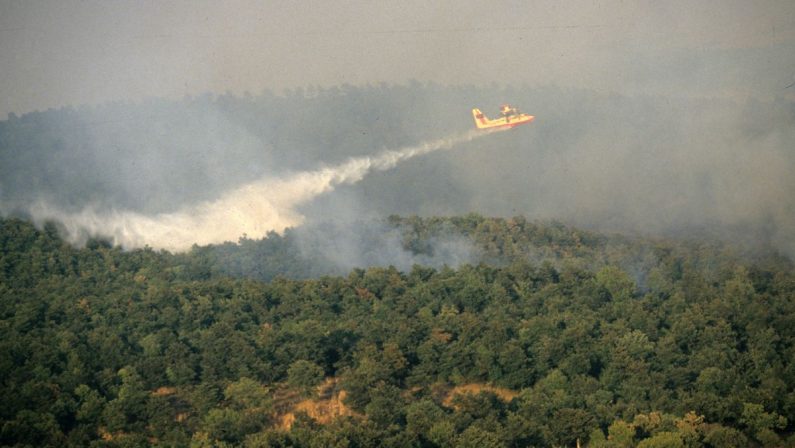 Incendi, in Italia dall’inizio del 2021 bruciati 158mila ettari