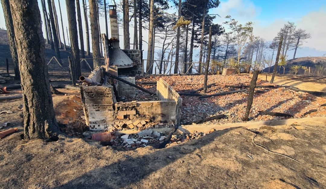 Quello che resta dopo uno degli incendi in Aspromonte