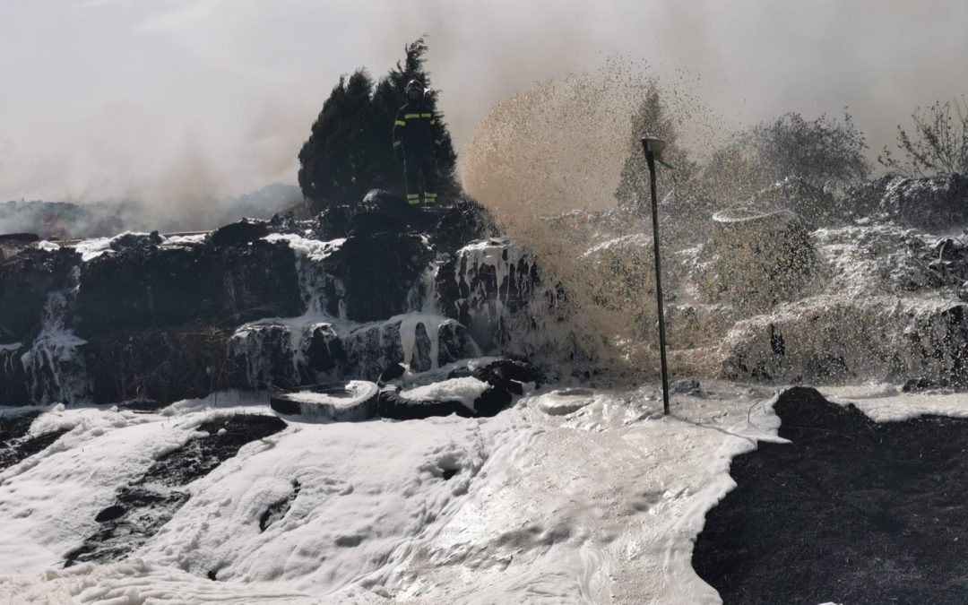 Gli interventi dei vigili nell'area andata a fuoco