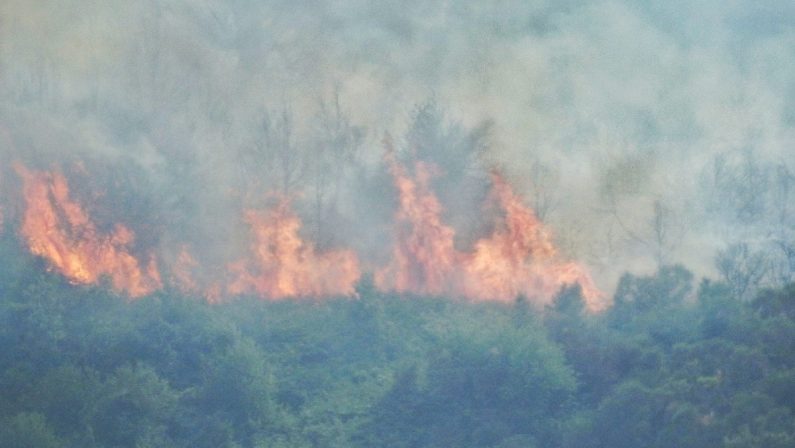 A Ferragosto a mezzogiorno un pensiero per gli incendi e i morti in Aspromonte