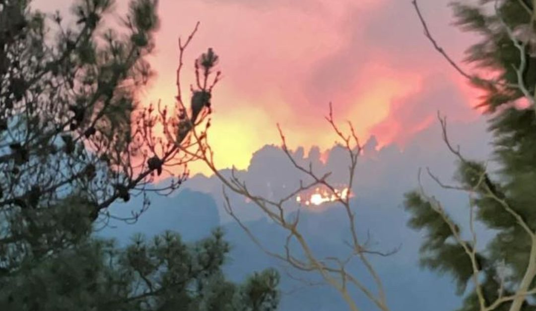 Le fiamme oggi sull'Aspromonte