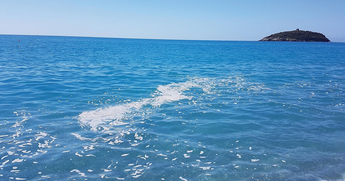 https://www.quotidianodelsud.it/wp-content/uploads/2021/08/Mare-sporco-Scalea.jpg