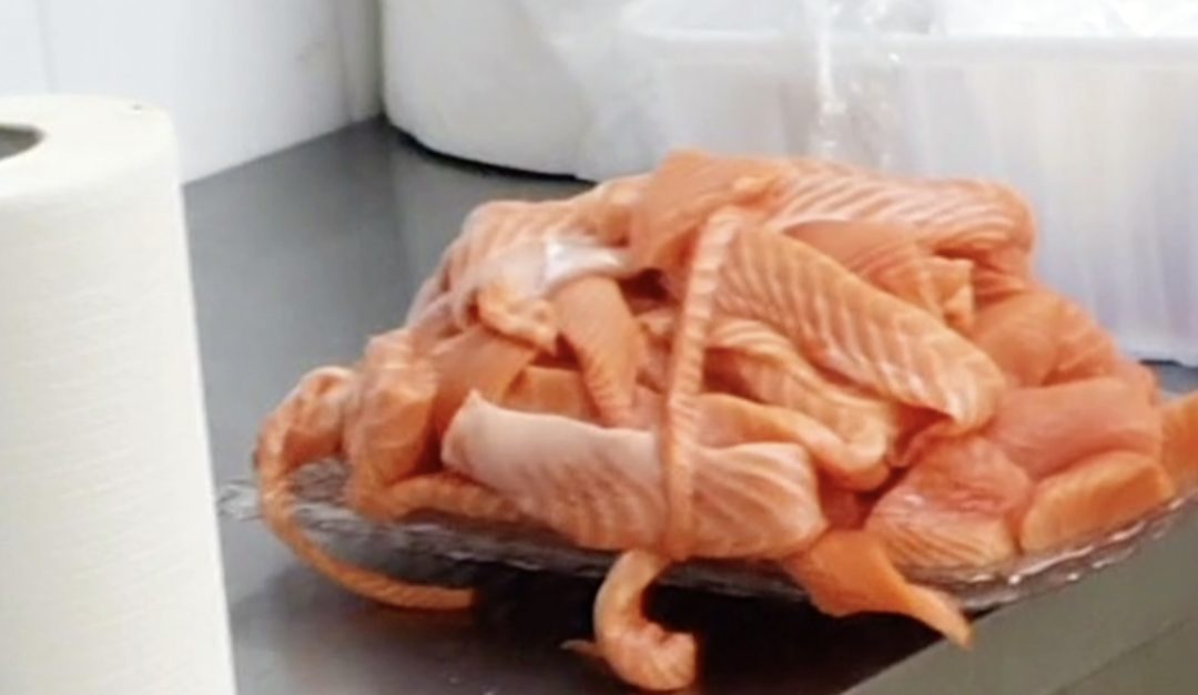 Una parte del pesce sequestrato