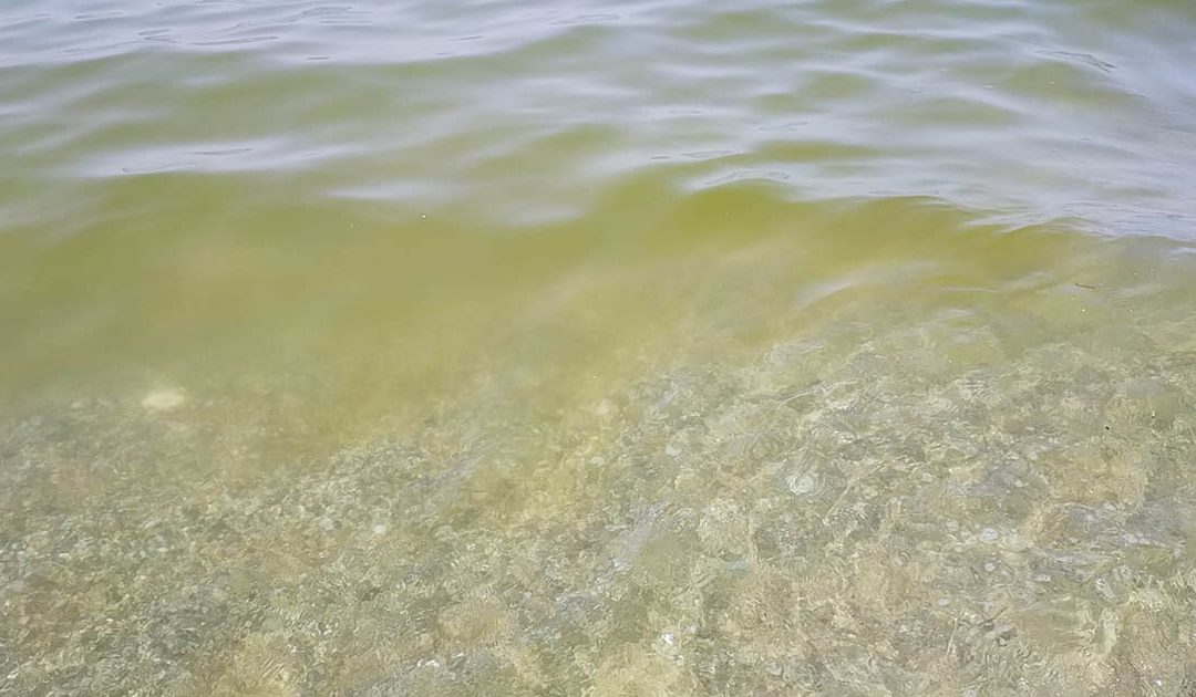 IL mare sporco a Pizzo