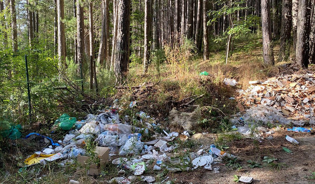 Spazzatura in un parco