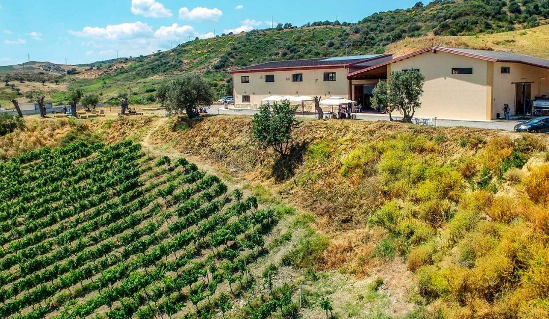 Una parte delle tenute Capoano (foto dal sito dell'azienda)