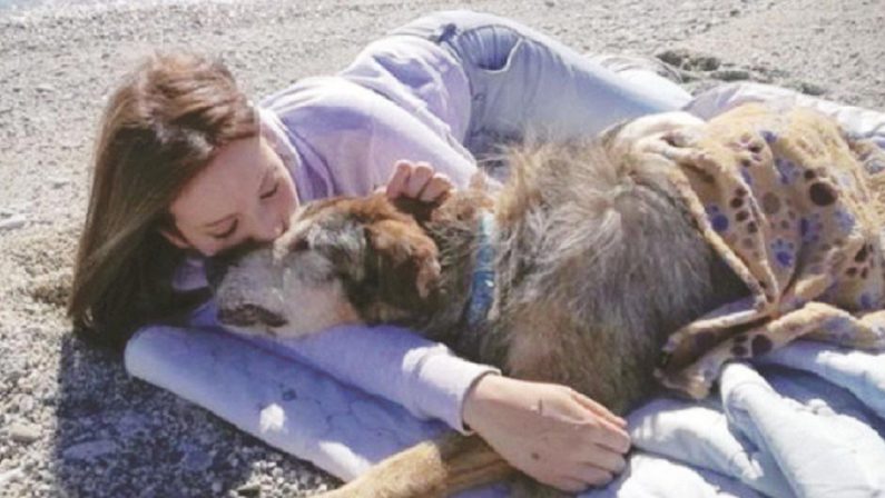 Debora, la ragazza catanzarese protettrice dei cani premiata in Liguria