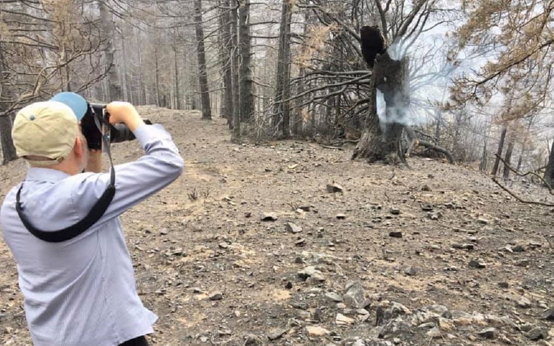 McCurry mentre fotografo un albero incenerito dai roghi