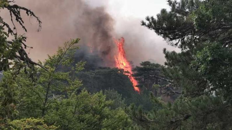 Calabria in fiamme: l’Aspromonte brucia ancora. I vescovi: «Piromani assassini»