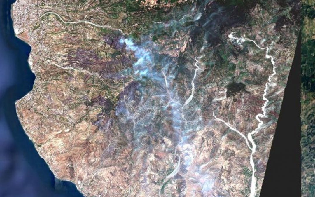 Gli incendi in Aspromonte visti dal satellite