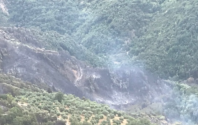 Un'area boschiva bruciata dal fuoco ad Acri