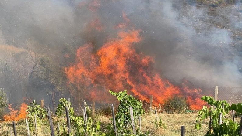 Vasto incendio ad Acri (Cosenza): case minacciate dalle fiamme, si valuta l'evacuazione