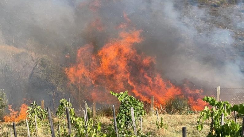 Agricoltori del Sud assediati dai roghi: parte dal Nord la catena della solidarietà