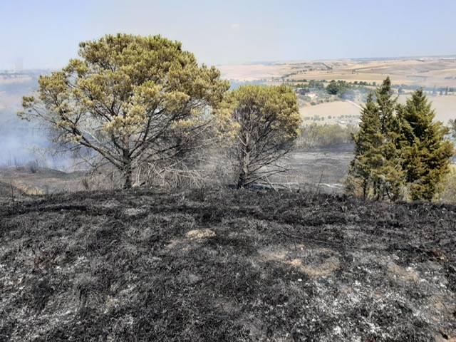 Matera, fiamme a Serra Rifusa