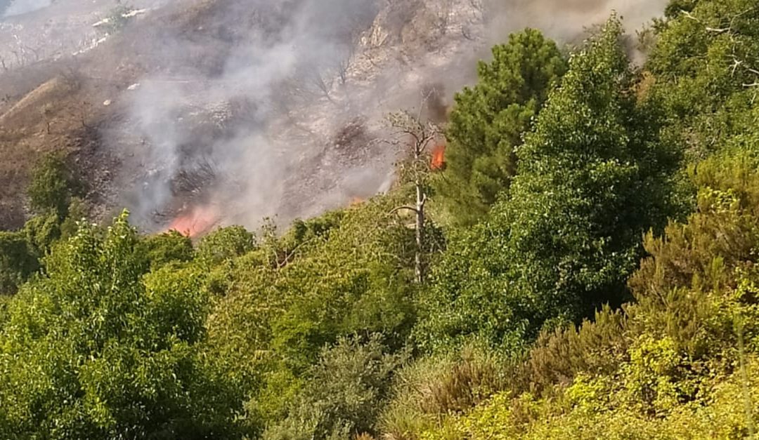 Una parte dell'incendio