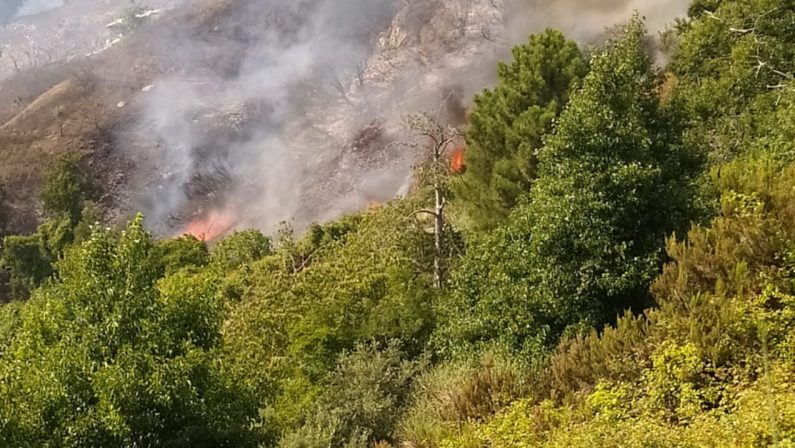 Vasto incendio a Gizzeria, evacuate diverse famiglie
