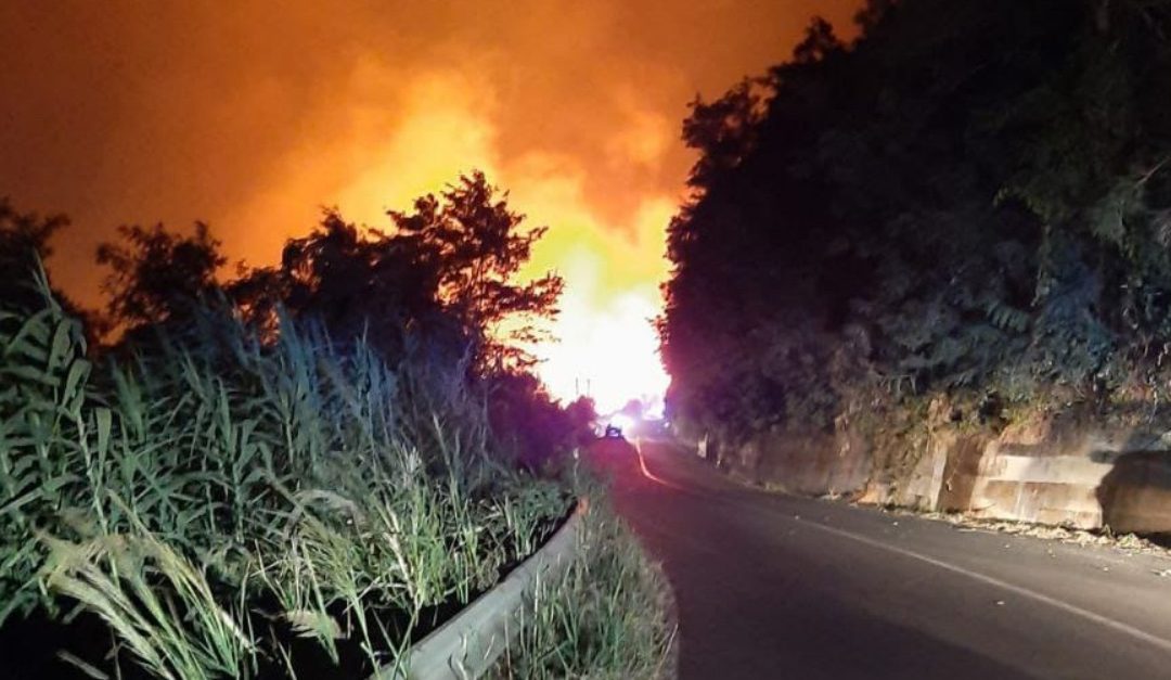 La Calabria continua a bruciare, il Wwf: «Del Parco dell’Aspromonte rischia di restare solo cenere»