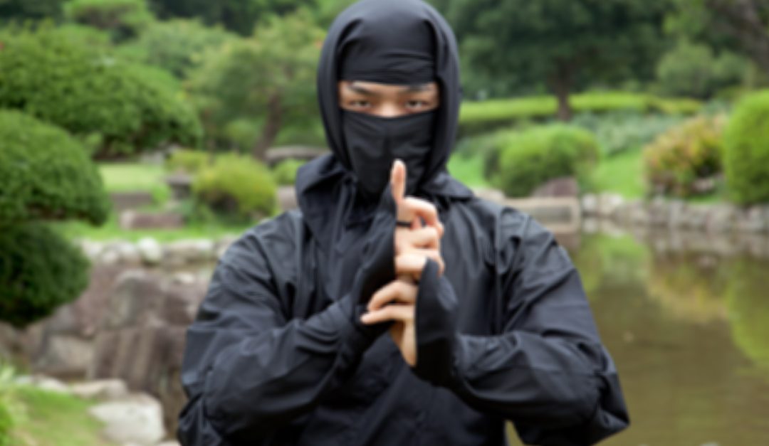 Nel Reggino un paese intero a caccia dei ninja misteriosi