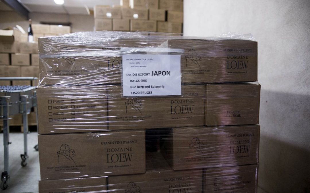 Crescita congiunturale per entrambi i flussi dell’export