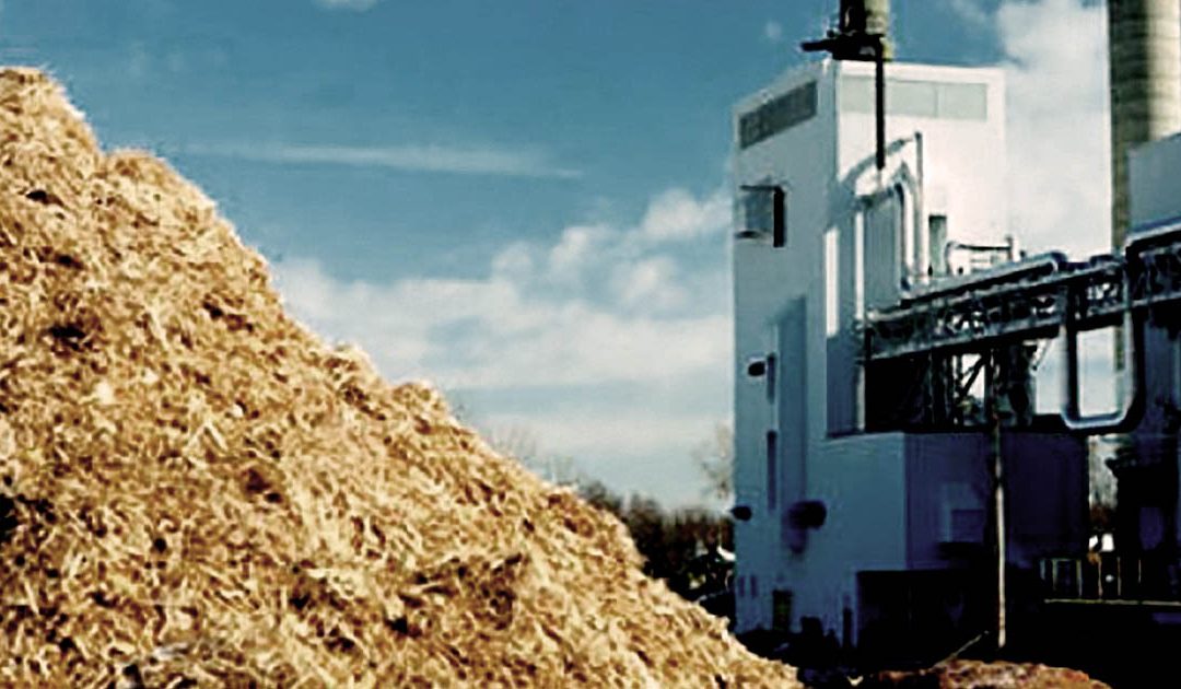 Una centrale a biomasse