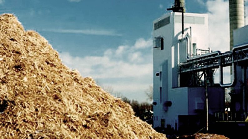 Affaire biomasse, maxi processo al clan Ferrazzo che disboscava la Sila