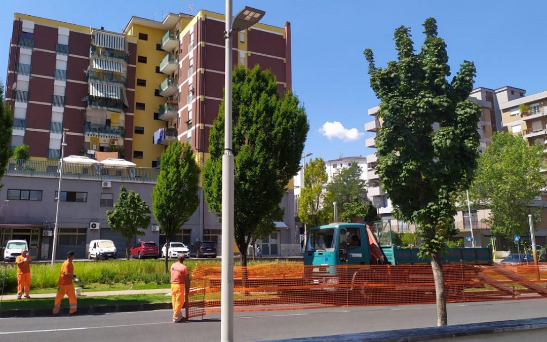 La riapertura del cantiere su viale Mancini