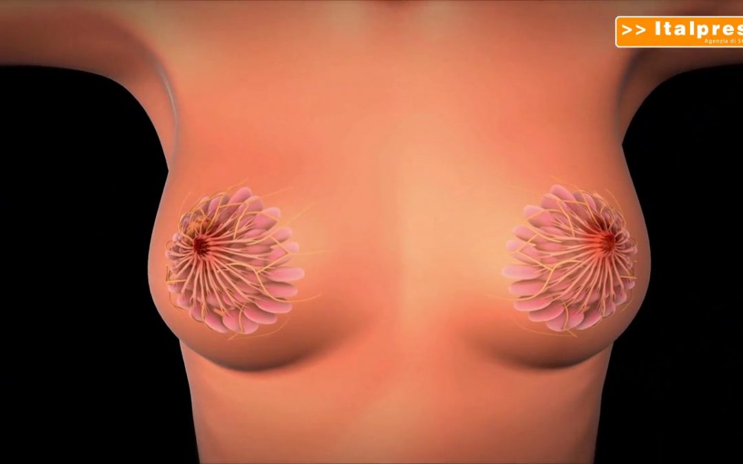 Tumore seno, in menopausa fino a 7-8 anni terapia anti-ormonale