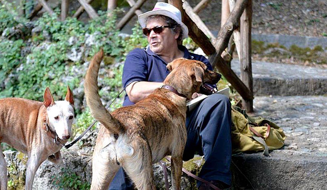 Addio a Pierino Polillo totem della destra cosentina