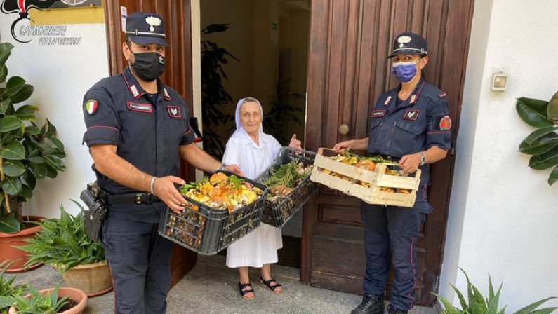 Funghi raccolti senza le necessarie autorizzazioni, i carabinieri li donano in beneficienza