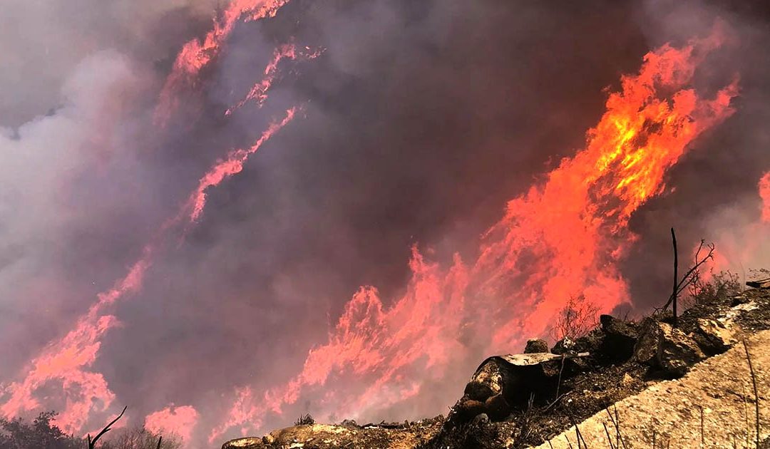 Allarme incendi Calabria, la denuncia della Uilpa Vigili del Fuoco: «Situazione disastrosa»